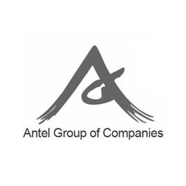 Antel Holdings, Inc. logo