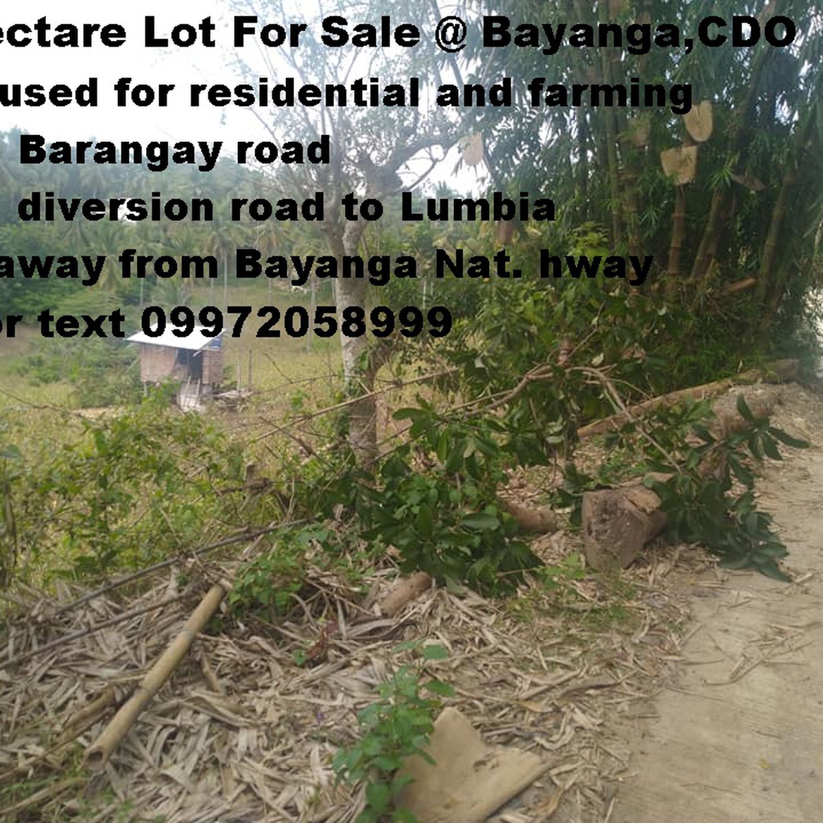 Affordable Lot For Sale at Bayanga, Cagayan de Oro City Along the Road