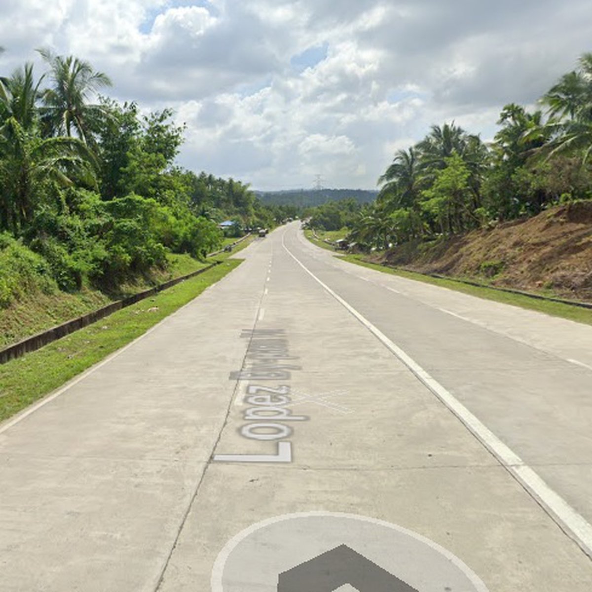 15255 sqm Residential Farm For Sale in Lopez Quezon [Lot 🚜] (July 2023
