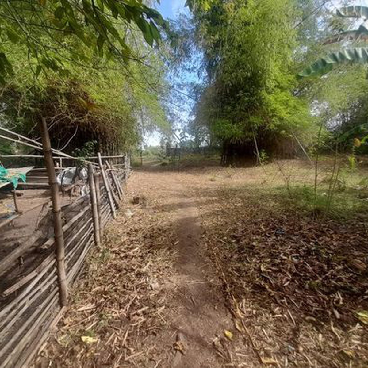 1000 sqm. Lot For Sale at Cardona Rizal [Lot 🚜] (July 2024) in Cardona
