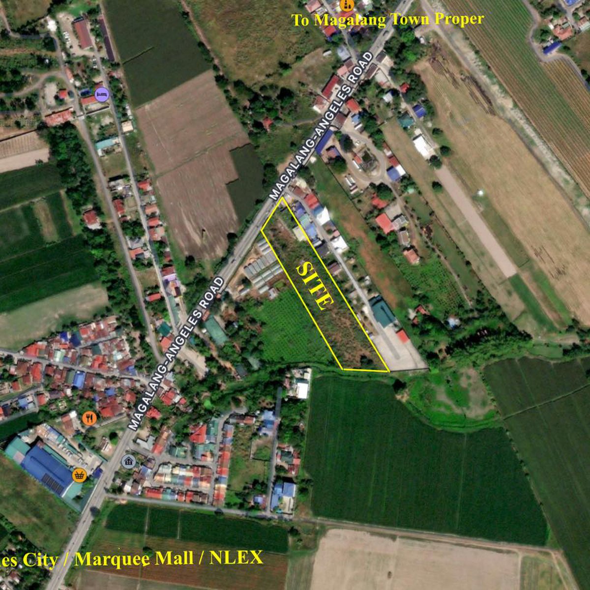 1 hectare Raw Land For Sale in Magalang Pampanga [Lot 🚜] (February 2024