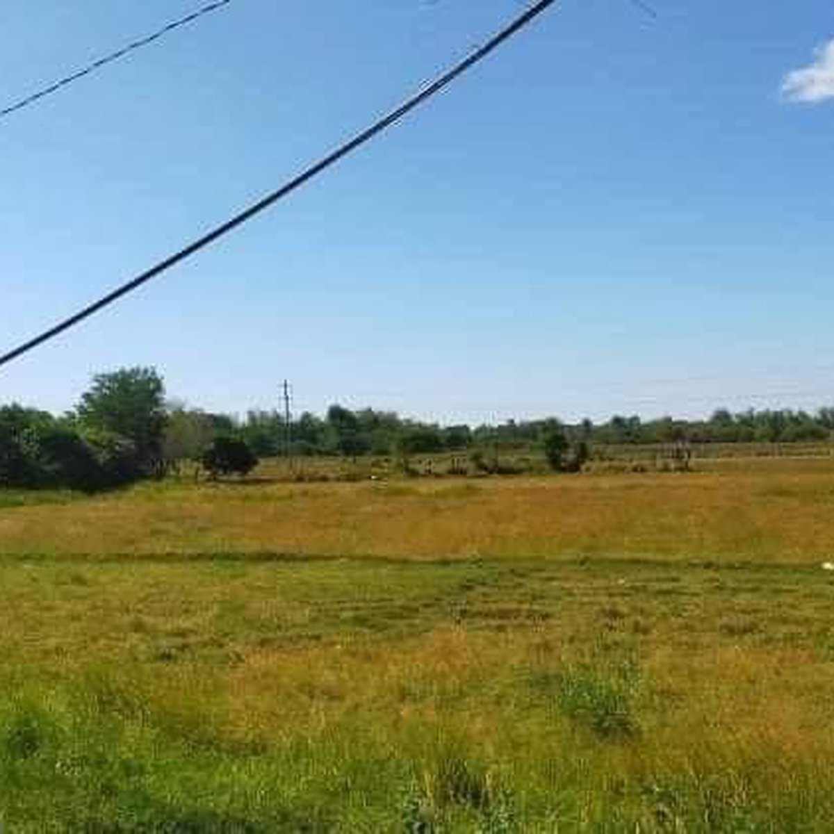 Commercial Lot for Sale along National Road Alaminos City Pangasinan