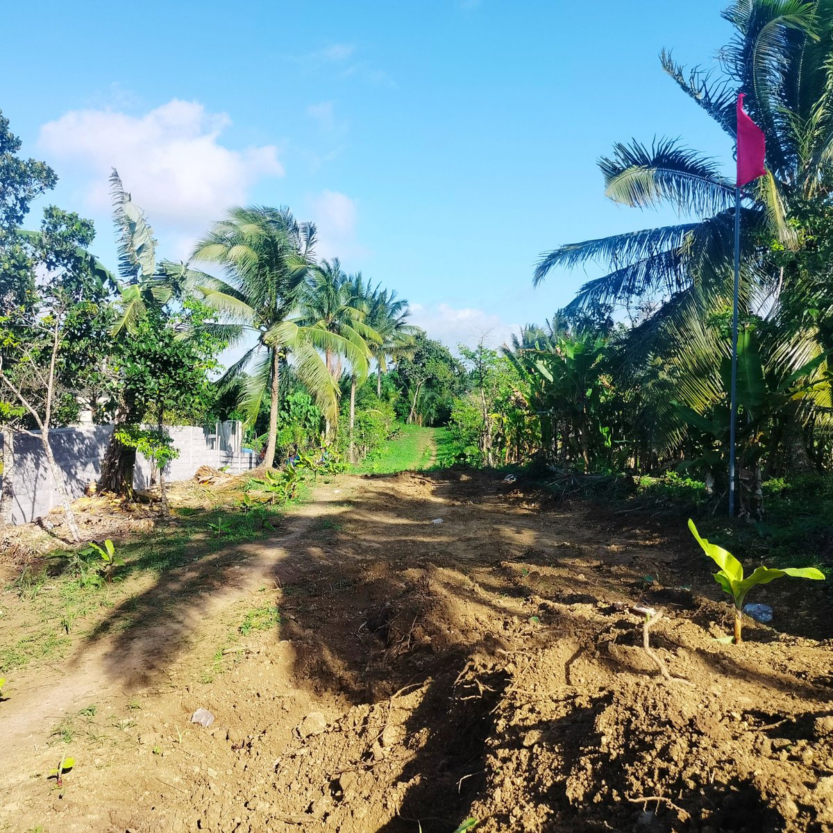1000 sqm Residential Farm Lot for Sale near Tagaytay [Lot 🚜] (January