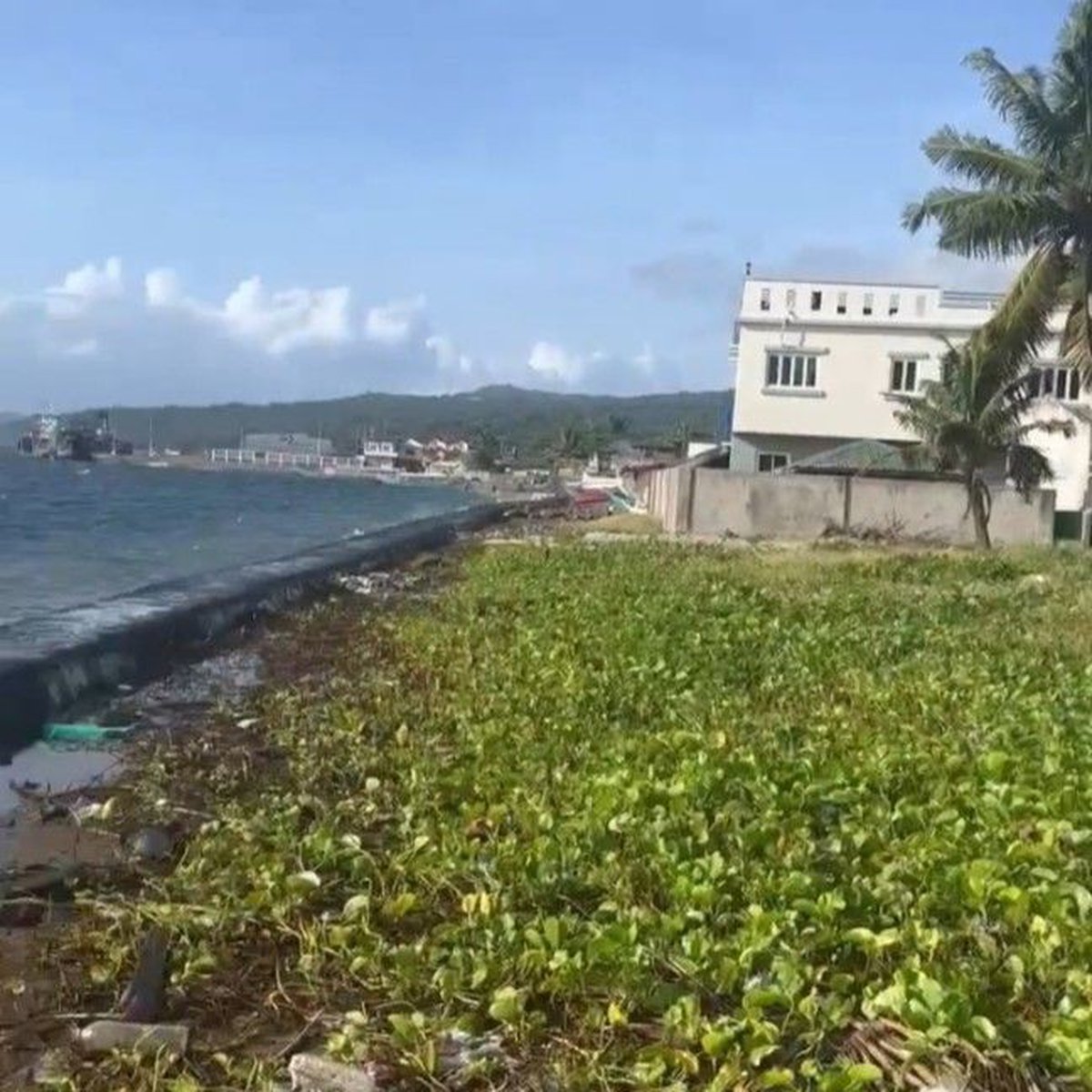 120 sqm Beach Lot for Sale in Mabini Batangas [Beach Property 🏖️