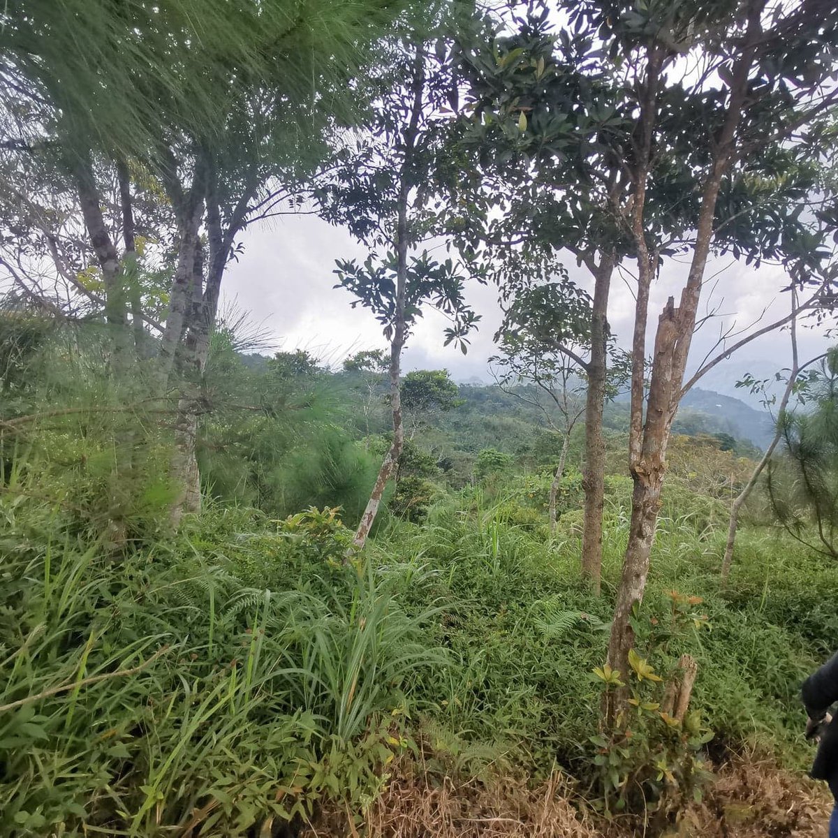 4 years to pay residential lots in Marcos Highway Taloy Norte [Lot 🚜