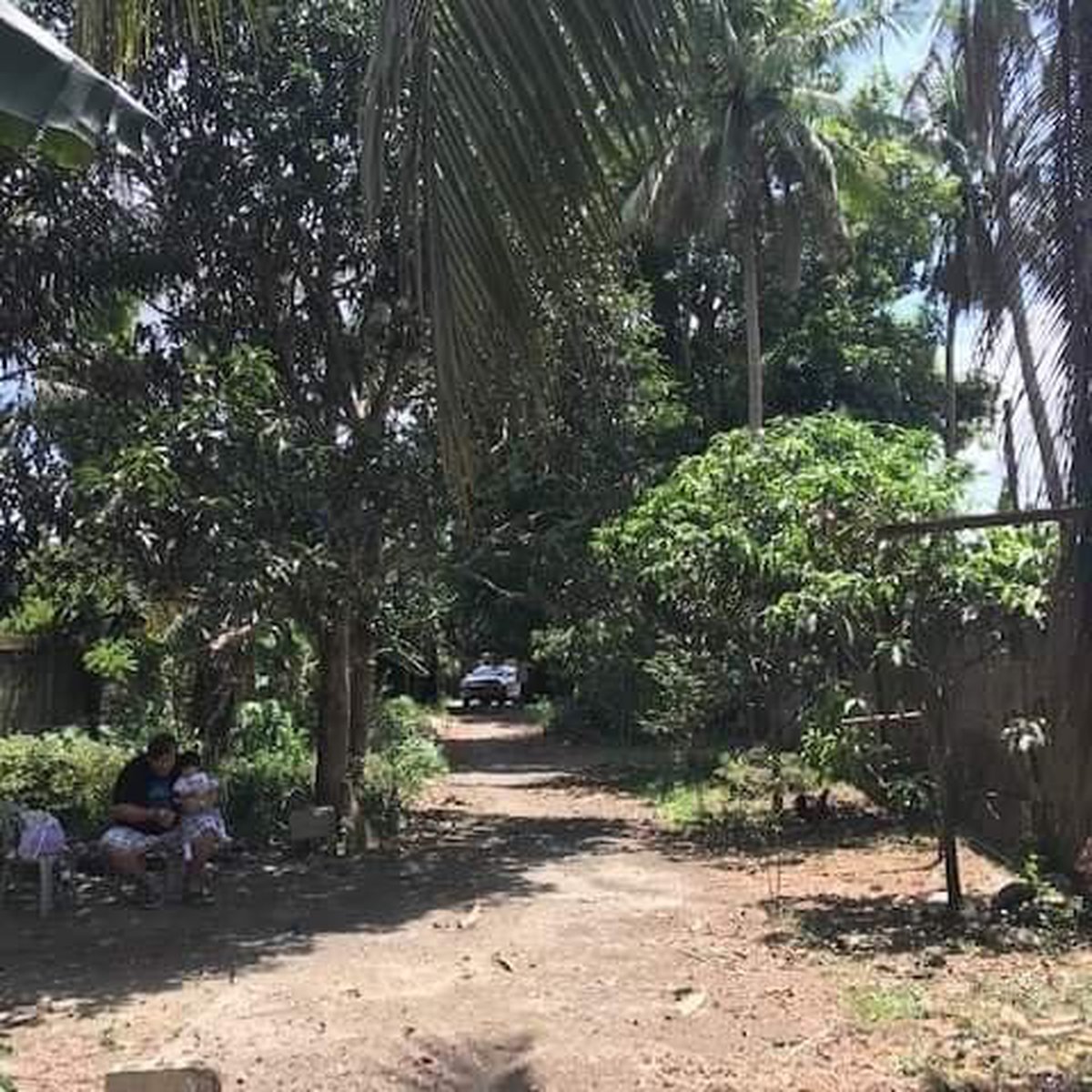 4188 sqm FARM LOT BATANGAS! [Lot 🚜] (August 2020) in Cuenca, Batangas for sale