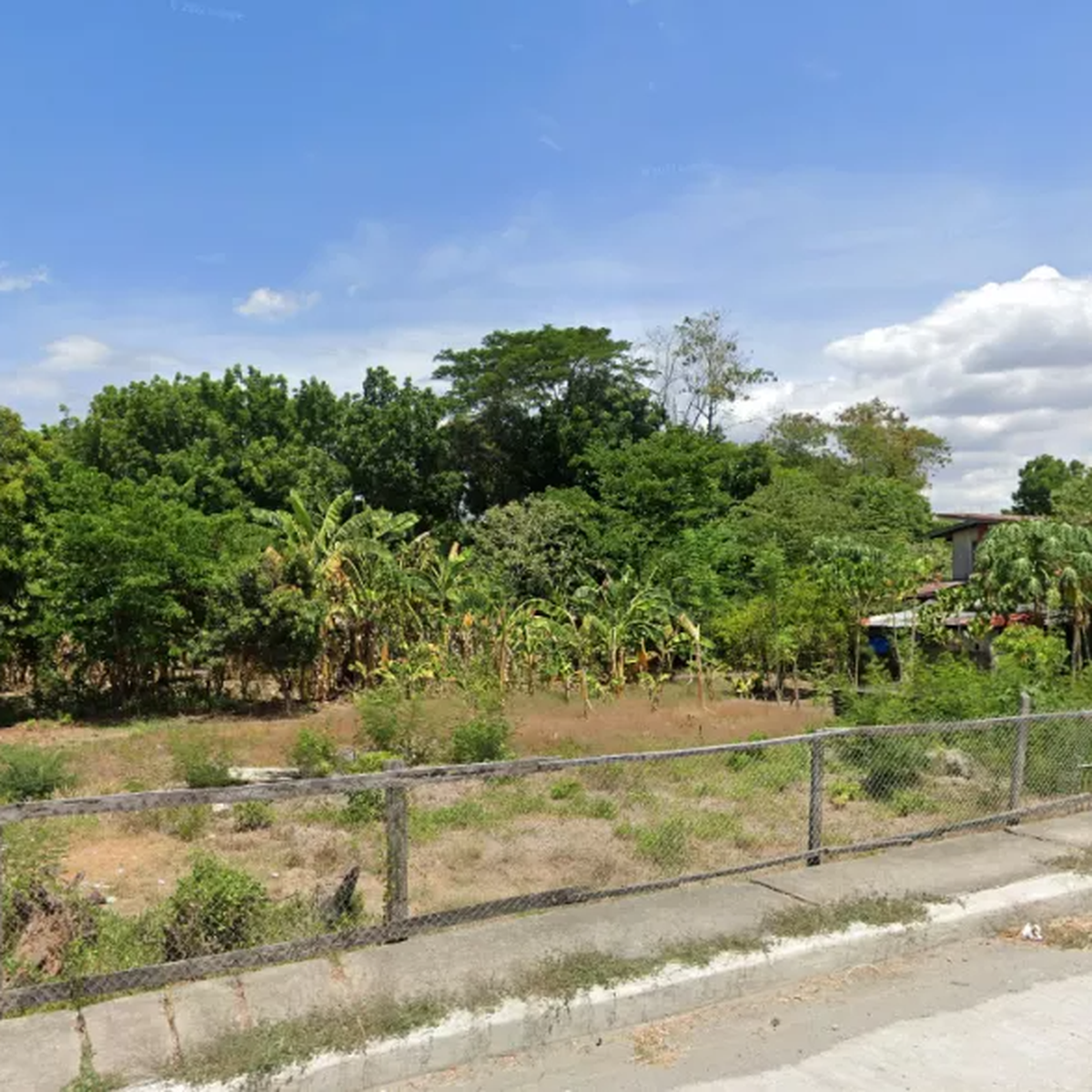 Commercial Lot/Farm along hiway. Property 🏭] (February 2024