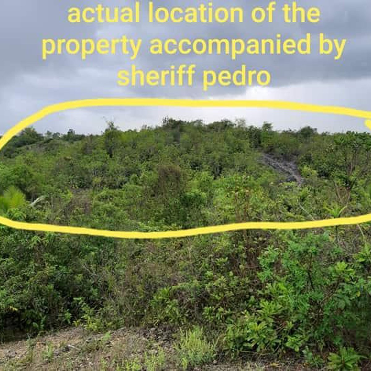 Commercial lot in Bool, Tagbilaran City, Bohol for sale [Lot 🚜