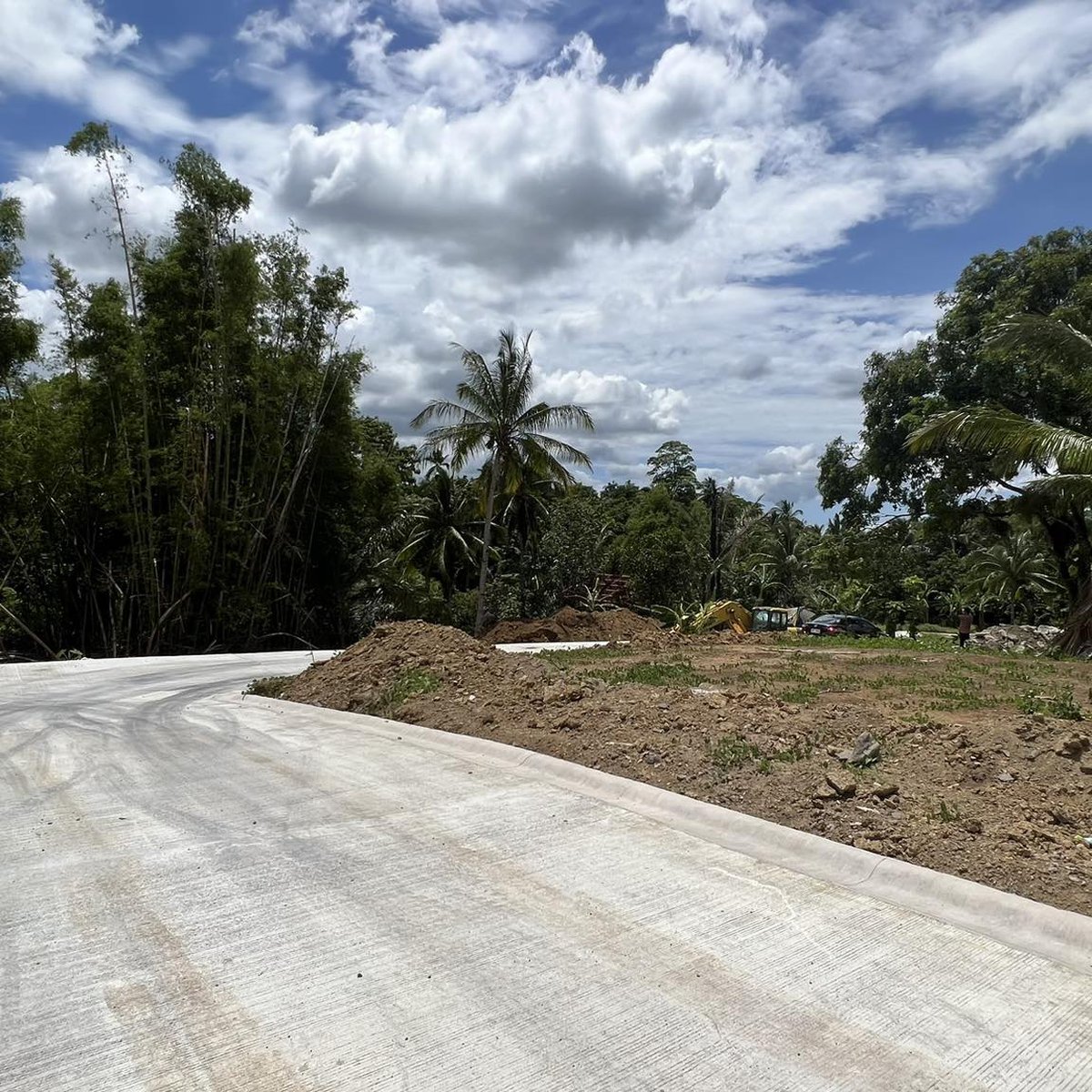 FRUIT BEARING FARM LOT FOR SALE IN INDANG CAVITE [Lot 🚜] (March 2024