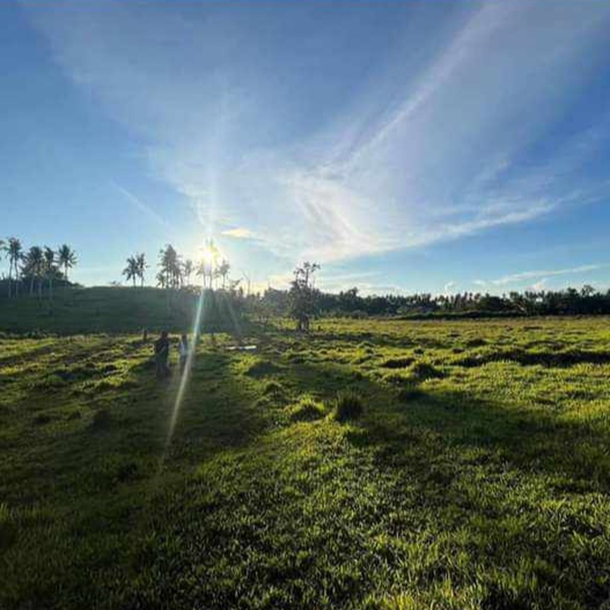 Siargao Gen.Luna Lot_Direct Owner [Lot 🚜] (March 2024) in General Luna