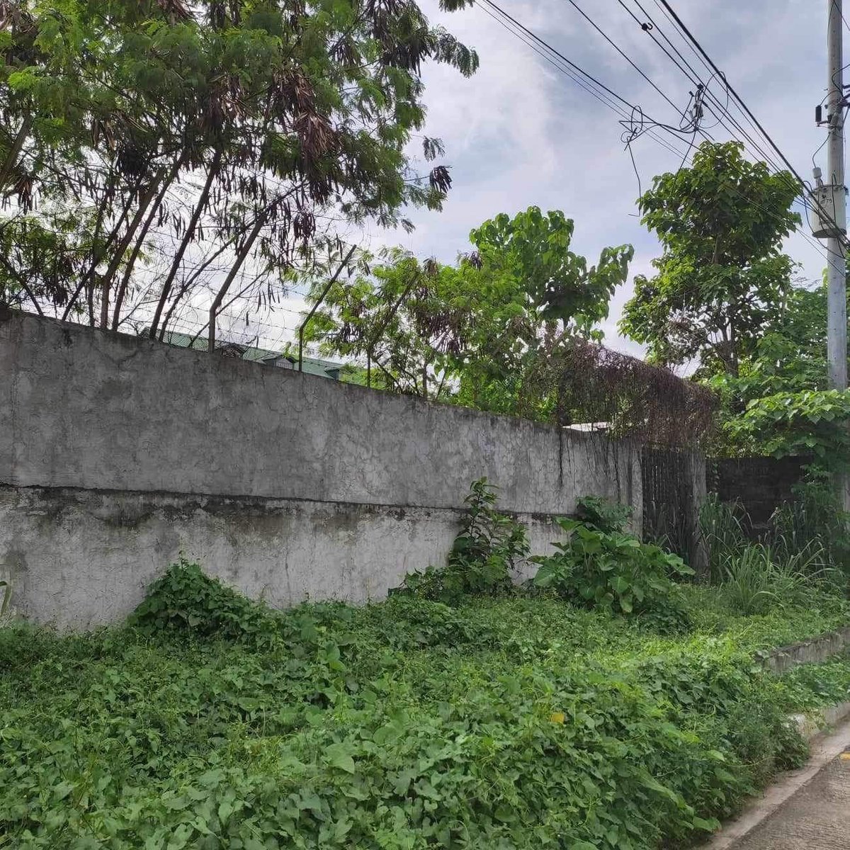 Residential Lot in Xavierville Subdivision Quezon City [Lot 🚜] (March ...