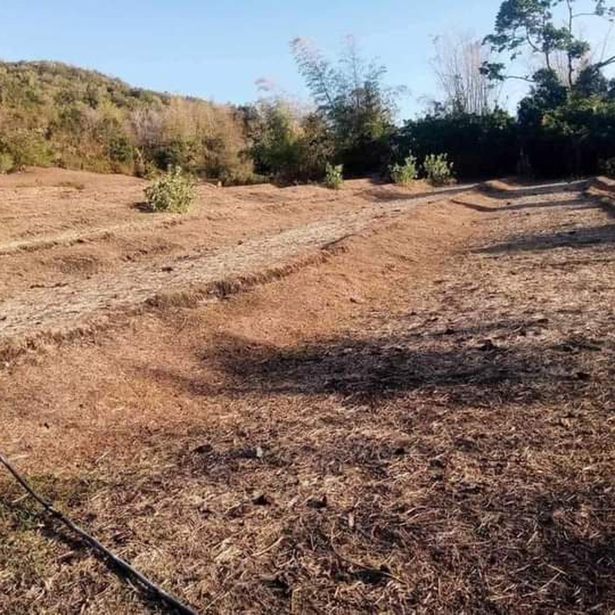 1.6 hectares Residential Farm For Sale in San Joaquin Iloilo [Lot 🚜] (July 2024) in San Joaquin