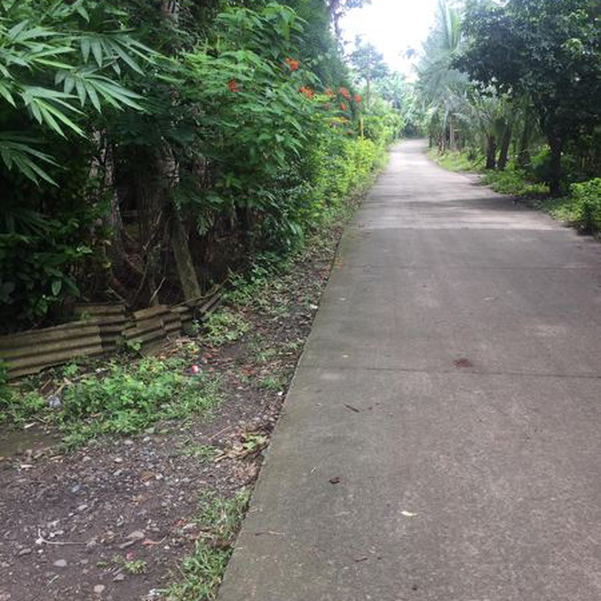 10600 sqm Agricultural Farm For Sale in Malvar Batangas [Lot 🚜] (May