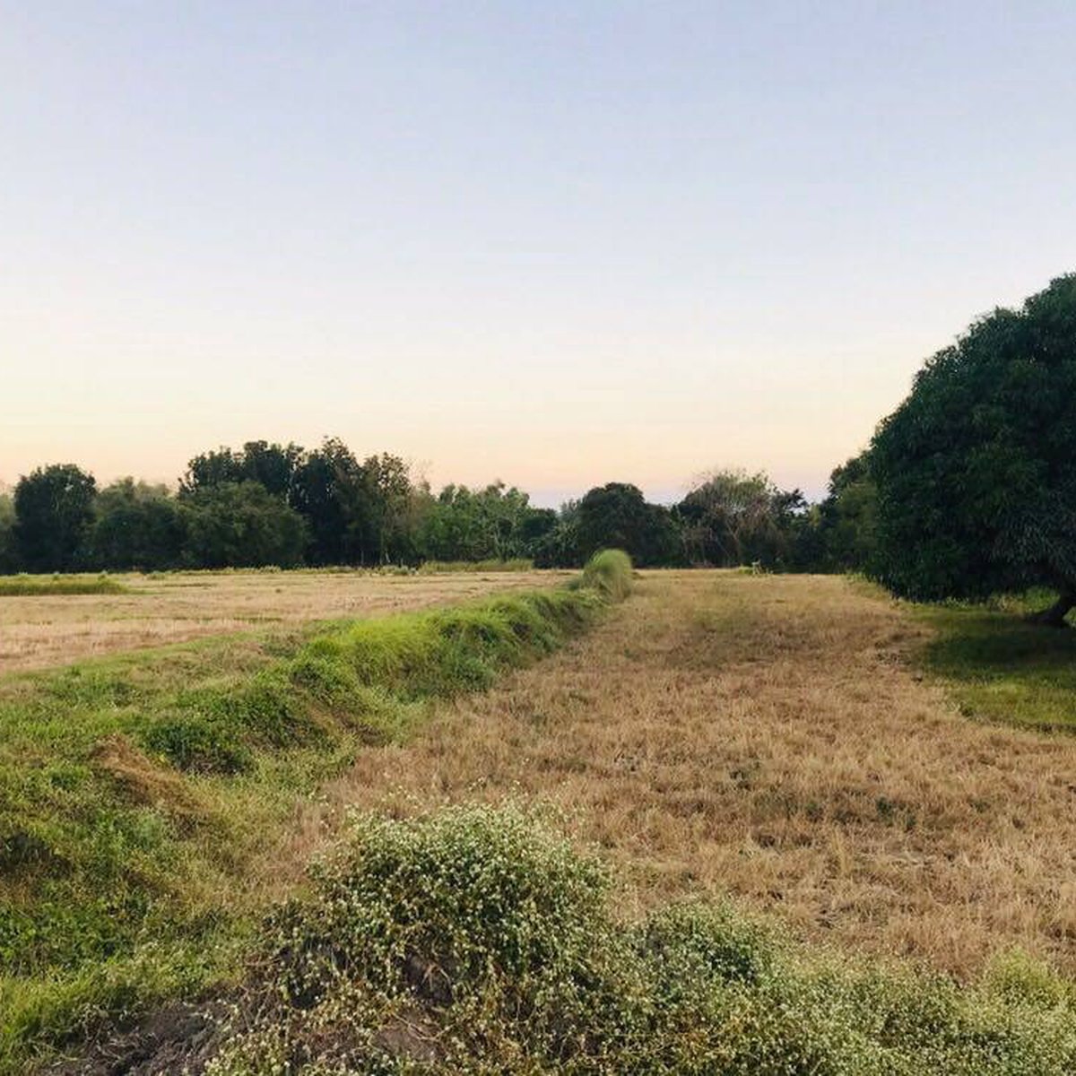 8 Hectares Lot for Sale in Lambakin, San Miguel Bulacan [Lot 🚜] (April 2024) in San Miguel