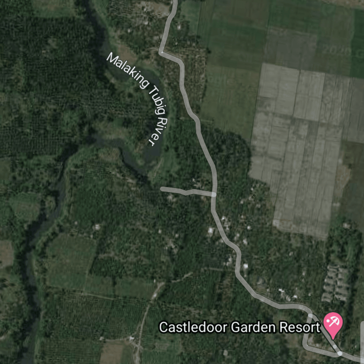 Farm For Sale Where Candelaria Quezon Area 50 has Price 700p [Lot 🚜] (December 2020) in