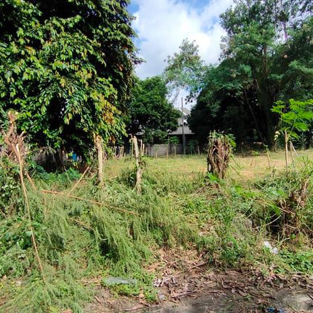 216 sqm Residential Lot For Sale in Antipolo, Rizal