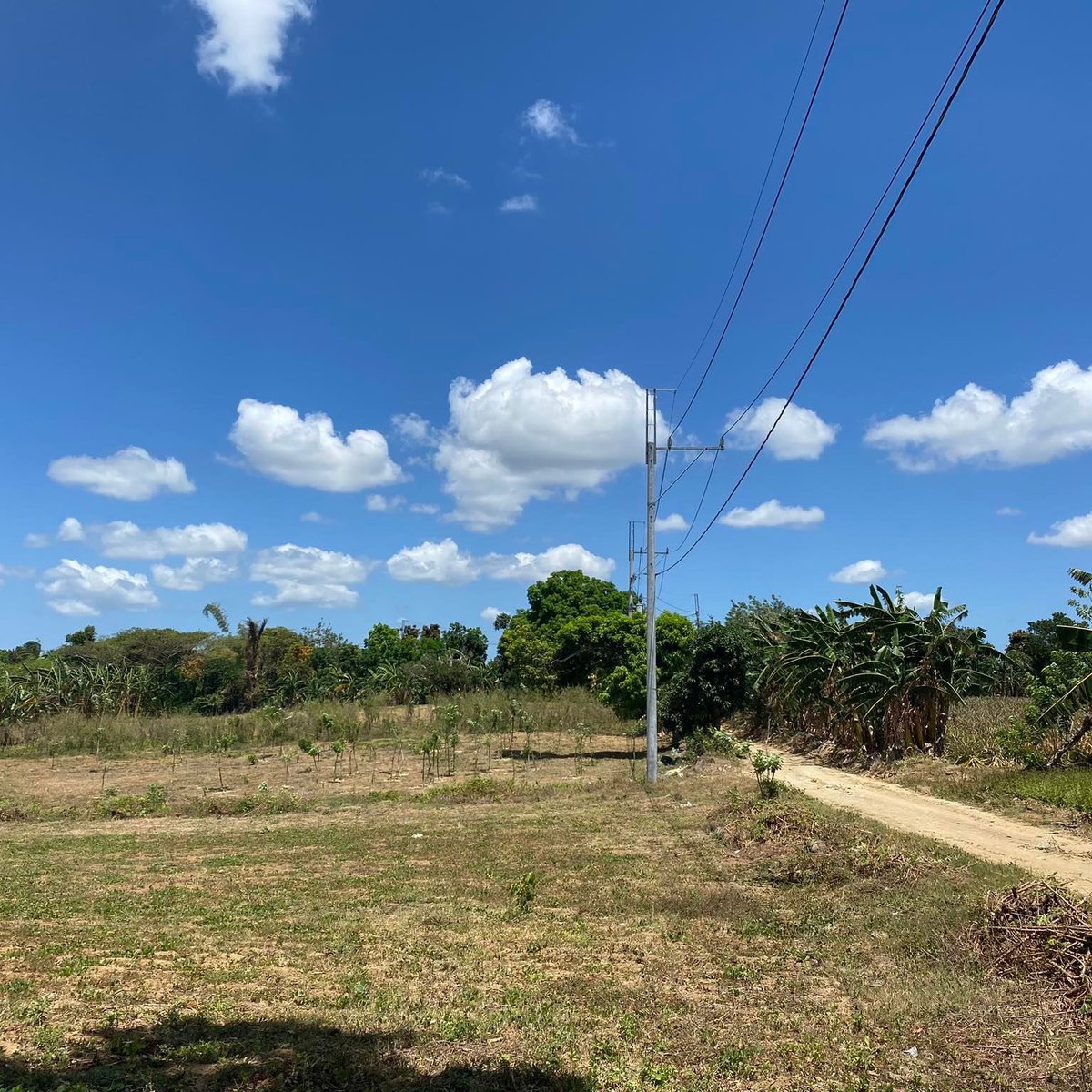 Very Affordable 500 sqm Farm Lot For Sale in Magallanes Cavite [Lot 🚜