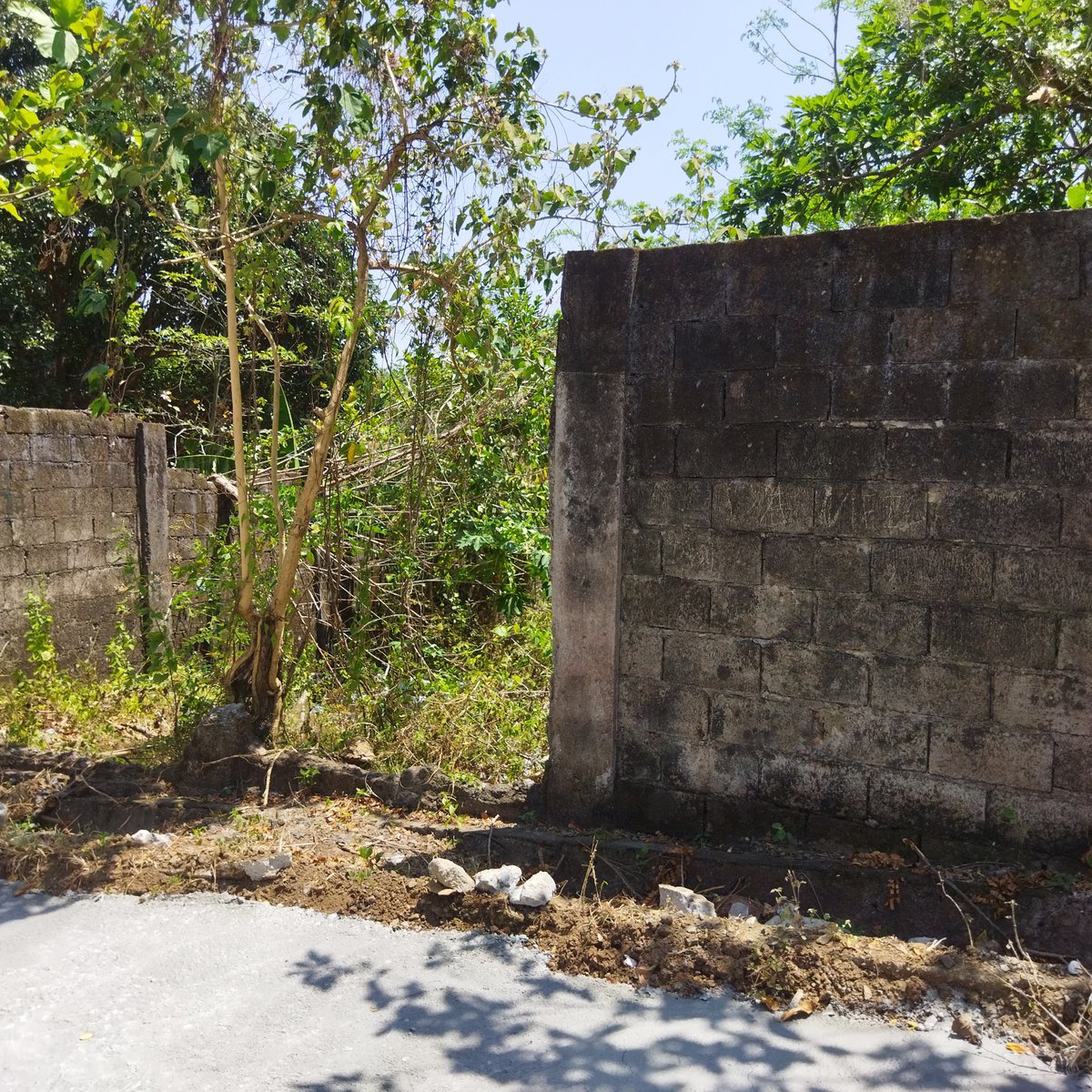 1,229 sqm Residential Lot For Sale in Dasmarinas Cavite [Lot 🚜] (November 2023) in Dasmariñas
