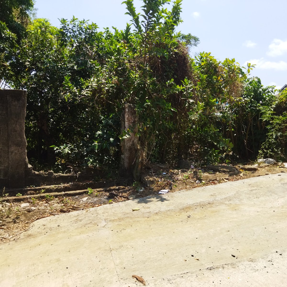1,437 sqm Residential Lot For Sale in Dasmarinas Cavite [Lot 🚜] (June