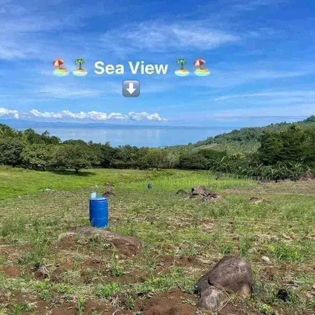 1,000 sqm Residential Farm For Sale in Villanueva Misamis Oriental [Lot