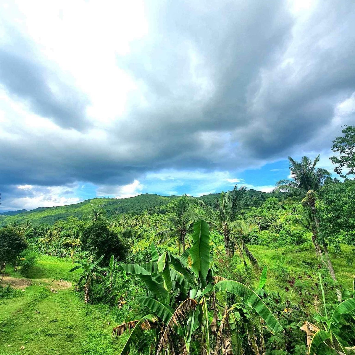 Farmlot in Dumanjug Cebu [Lot 🚜] (April 2024) in Dumanjug, Cebu for sale