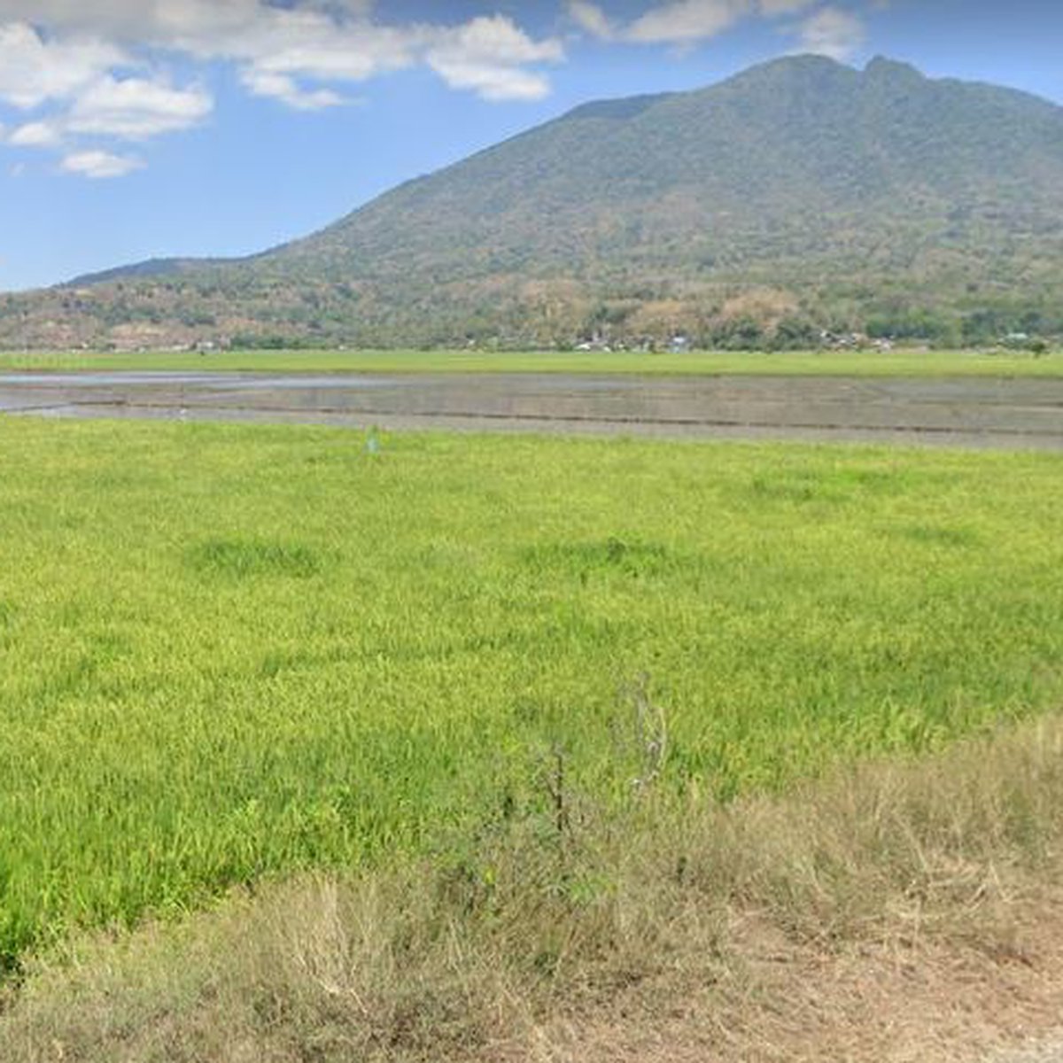Arayat Pampanga Farm Lot (Rice Fields) [Lot 🚜] (October 2023) in Arayat, Pampanga for sale