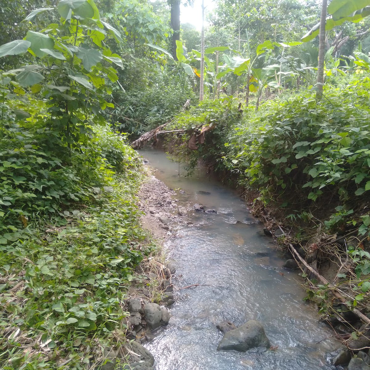 Farm land [Lot 🚜] (November 2023) in Calintaan, Occidental Mindoro for sale