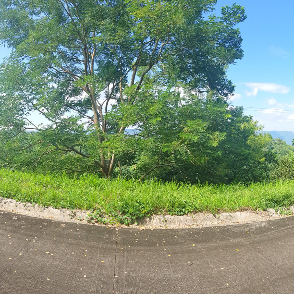 Residential Lot for Sale in Canyon Woods Batangas [Lot 🚜] (March 2024) in Laurel, Batangas for sale