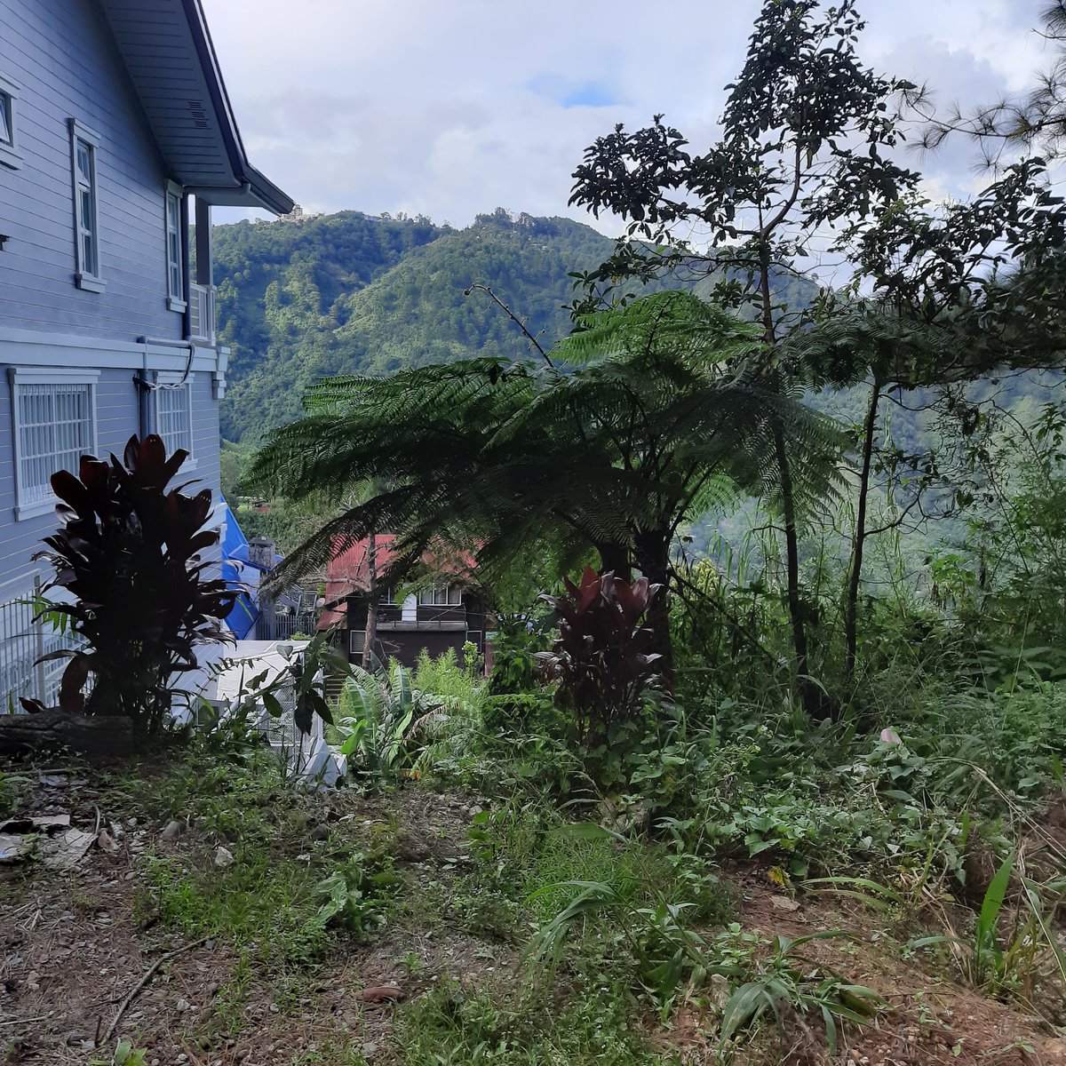 Vacant lot for sale Baguio City [Lot 🚜] (October 2021) in Baguio, Benguet for sale FSBO / For