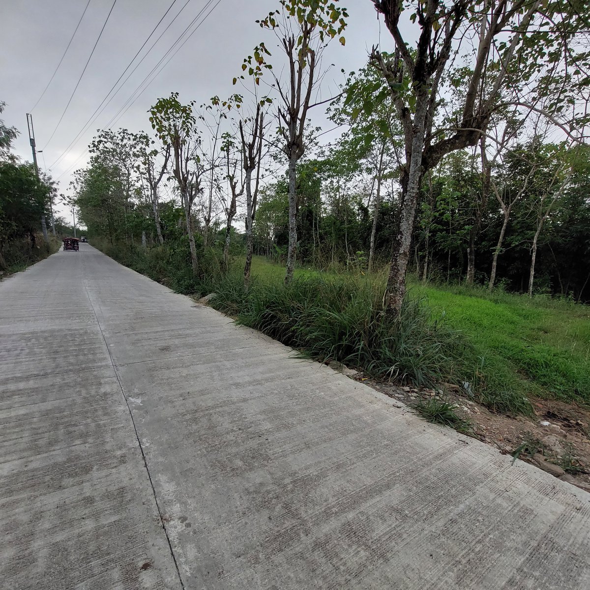22715 sqm Residential Farm For Sale in San Rafael Bulacan [Lot 🚜] (March 2022) in San Rafael