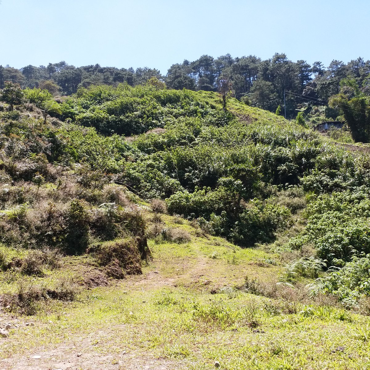 150 sqm Residential Lot For Sale in Baguio City Economic Zone Baguio