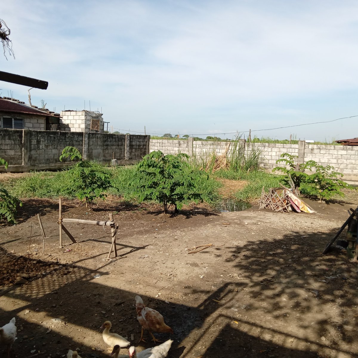 352sqm. residential lot for sale in sampaloc, apalit, pampanga [Lot 🚜