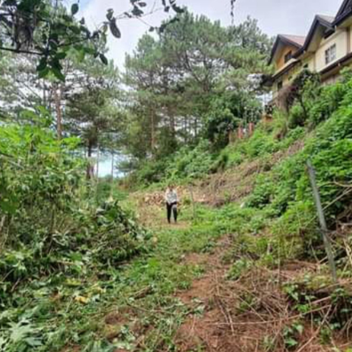 350 sqm Residential Lot For Sale in Baguio City Economic Zone Baguio