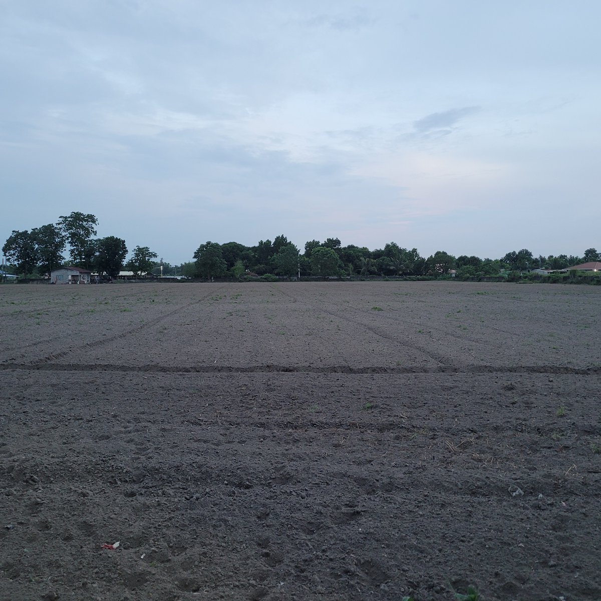 3000 sqm Lot For Sale in Mabalacat Pampanga [Lot 🚜] (April 2024) in