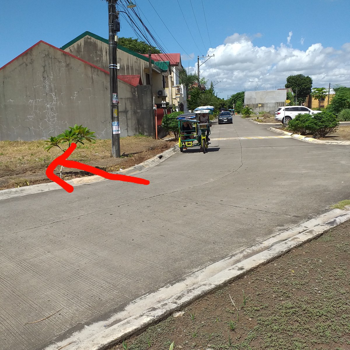 90 sq.m Residential Lot For Sale Parkview Villge San Felipe Naga City