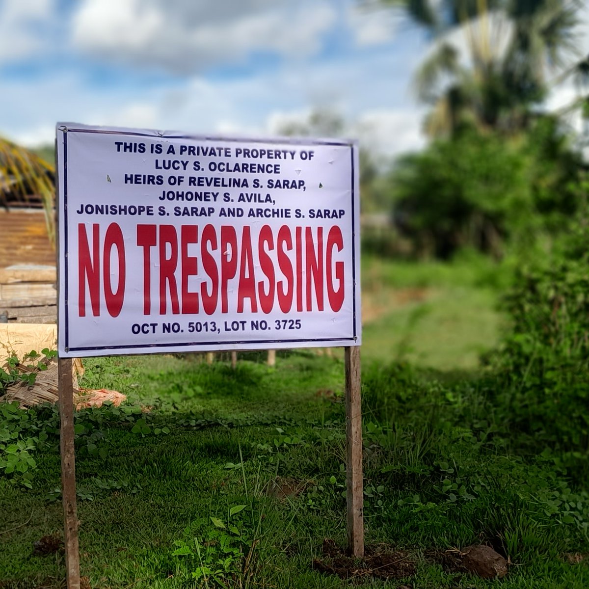 Land for Sale 2.5Hec Clean Title [Lot 🚜] (November 2022) in Baybay