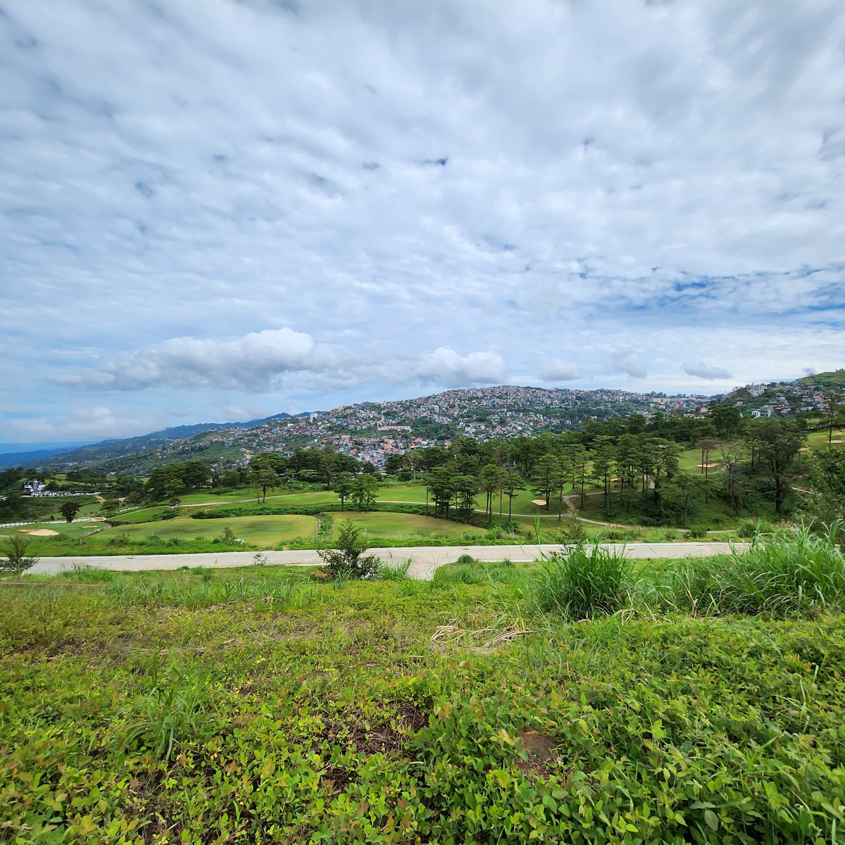 100+ Lots for sale Pinewoods Subdivision [Lot 🚜] (October 2022) in