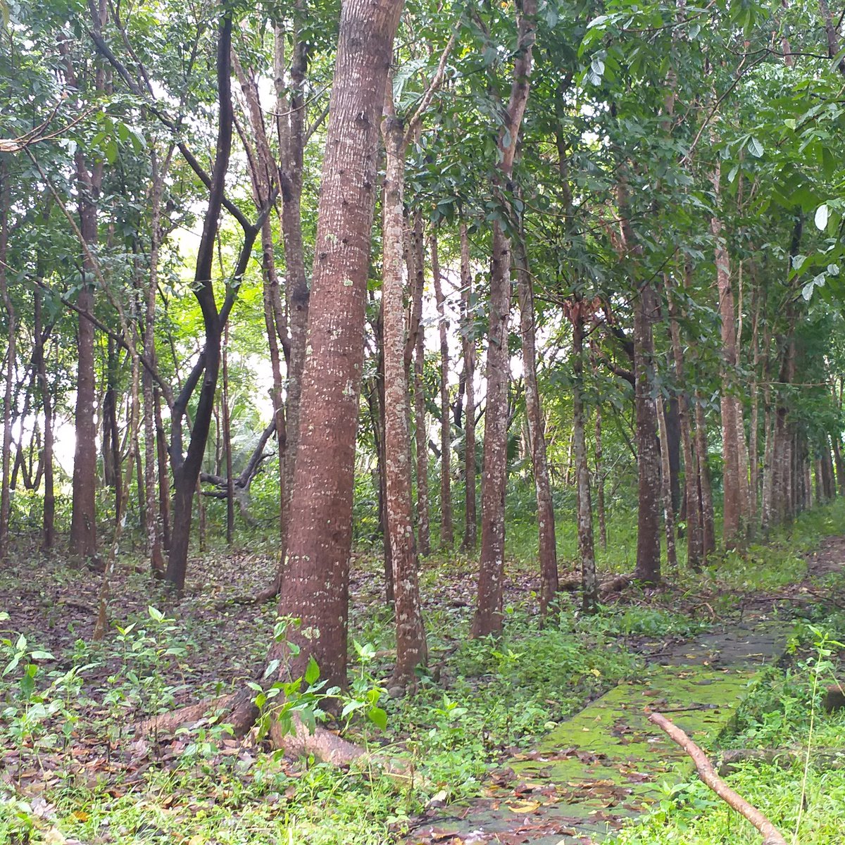 Starts at 500 sqm Farm Lot For Sale in Bgy Tandang KutyoTanay Rizal ...