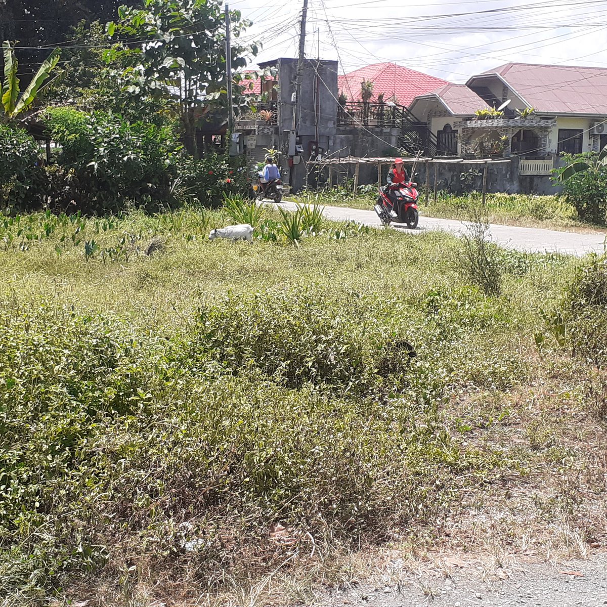 258 sqm Commercial Lot For Sale in Victoria Oriental Mindoro [Lot 🚜