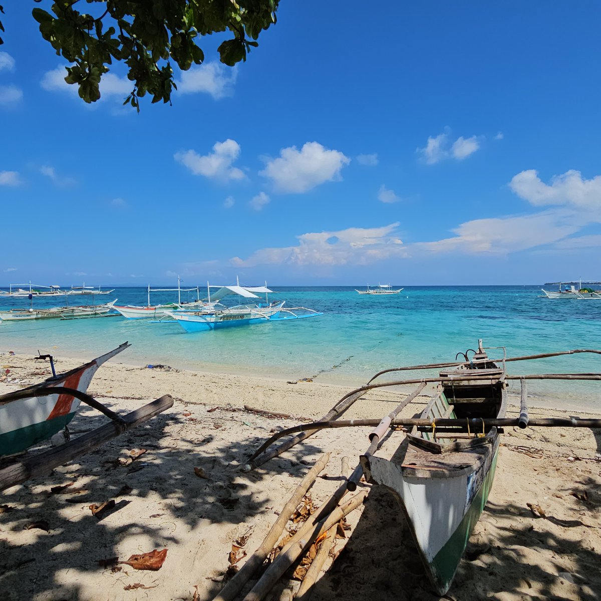 FARM LOT ONLY near the seashore, Sta. Fe Bantayan HilantaaganISLAND
