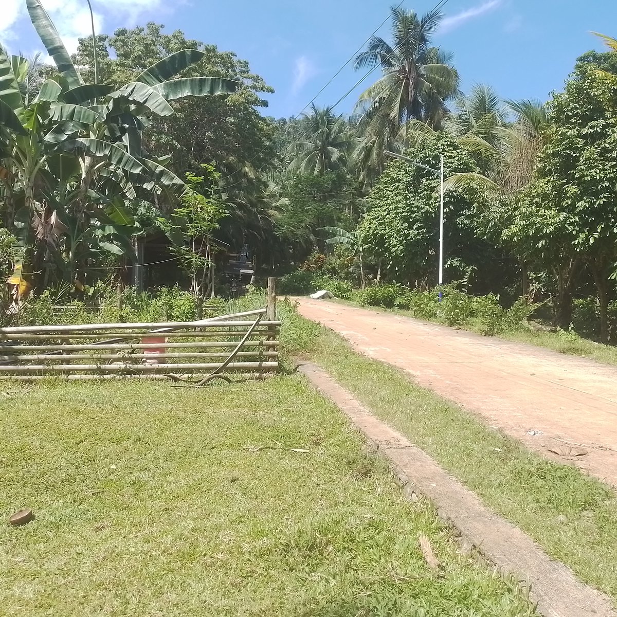 1.2 hectares Residential Farm For Sale in Sagay Camiguin [Lot 🚜