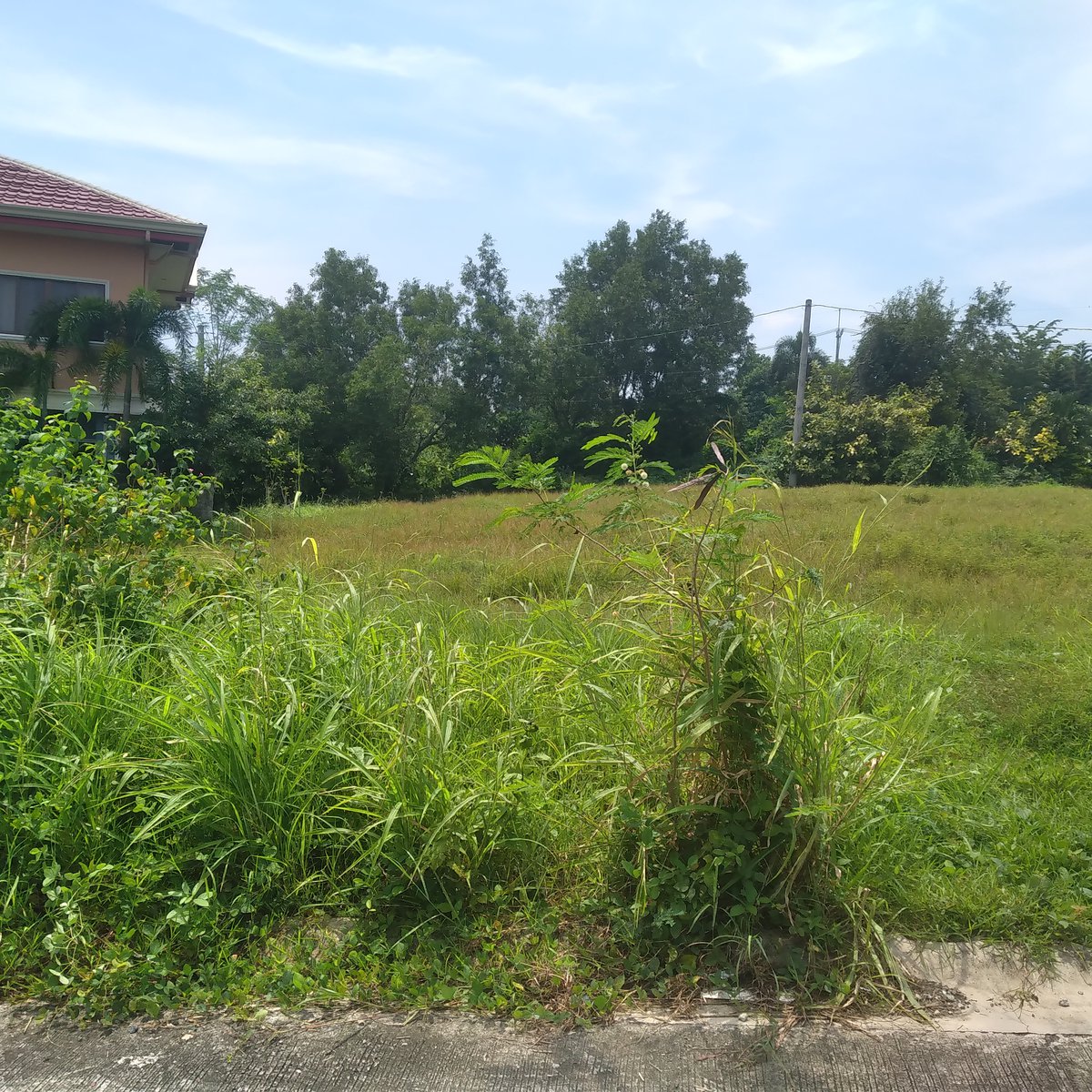 252 sqm Residential Lot For Sale in Angono Rizal [Lot 🚜] (February 2024) in Angono, Rizal for sale