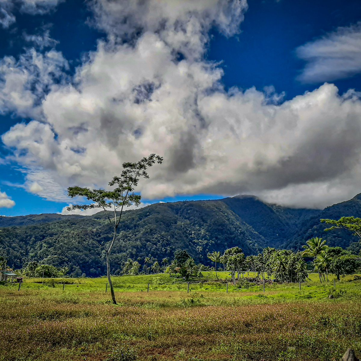 200 sqm Residential Lot For Sale in Claveria Misamis Oriental [Lot 🚜