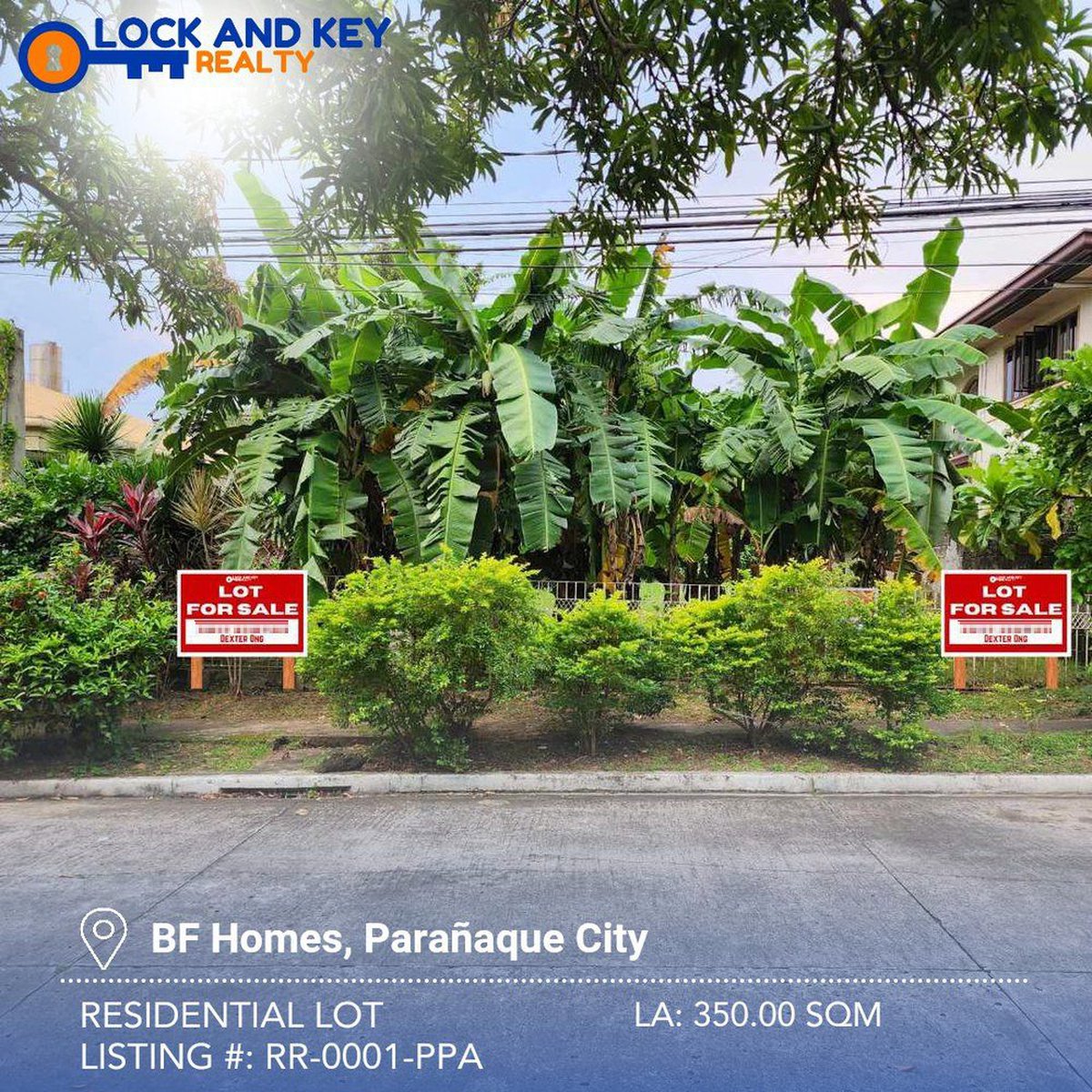 350 sqm Residential Lot For Sale By Owner in Paranaque Metro Manila
