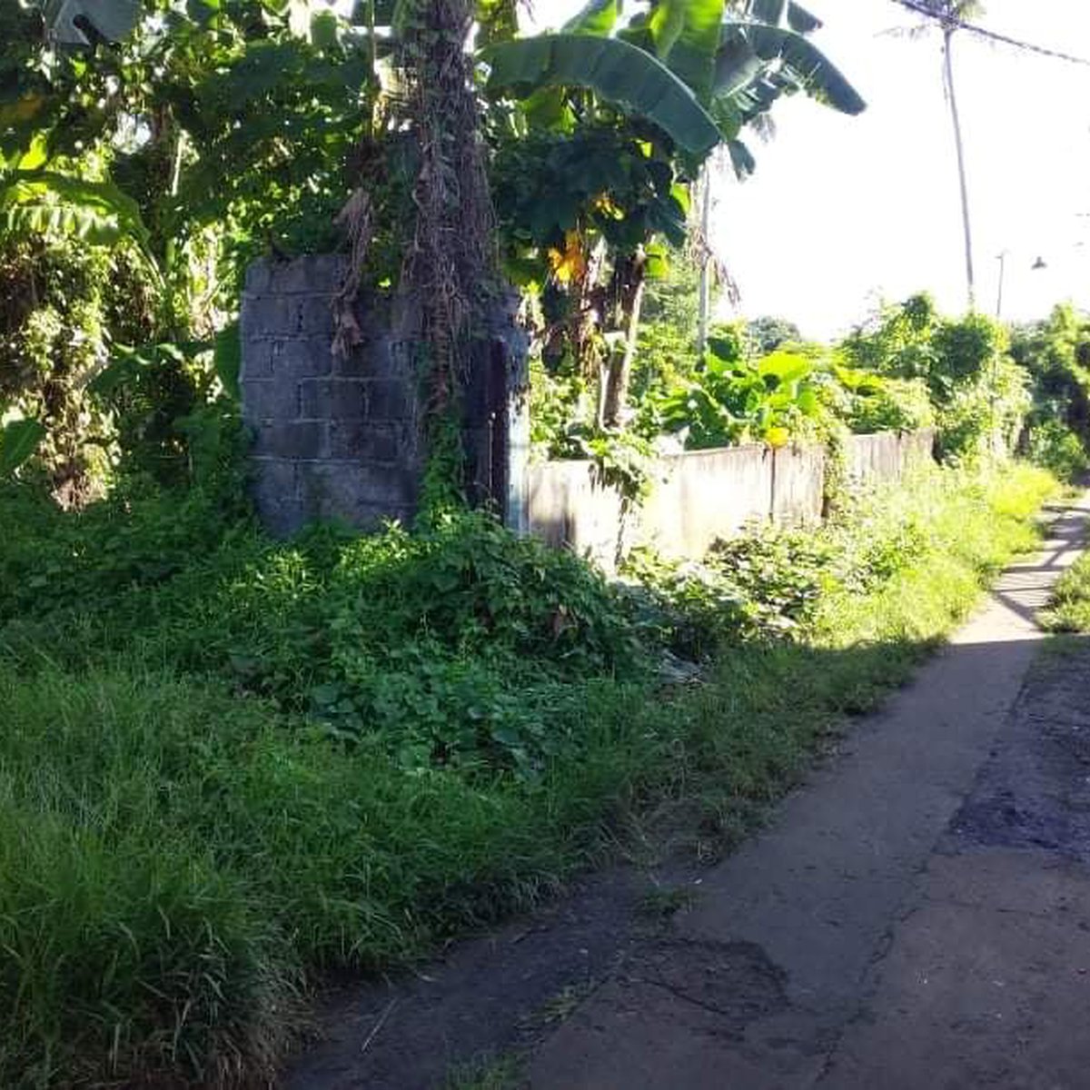 Residential Lot for Sale in Pagsanjan Laguna [Lot 🚜] (September 2023