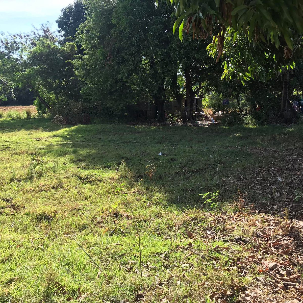2500 sqm Residential Farm For Sale in Alaminos Pangasinan [Lot 🚜