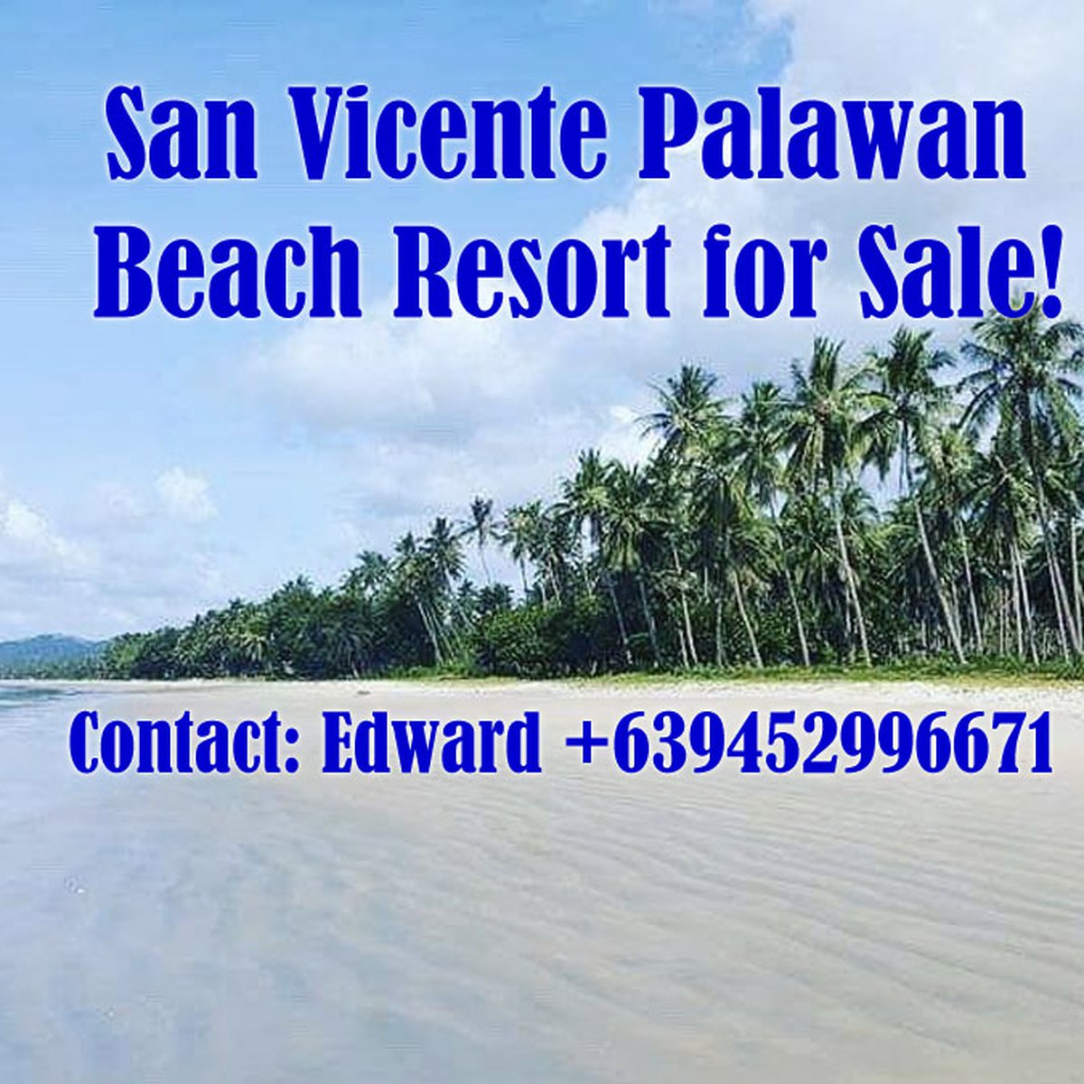 San Vicente Palawan Beach Resort For Sale [Beach Property 🏖️] (February