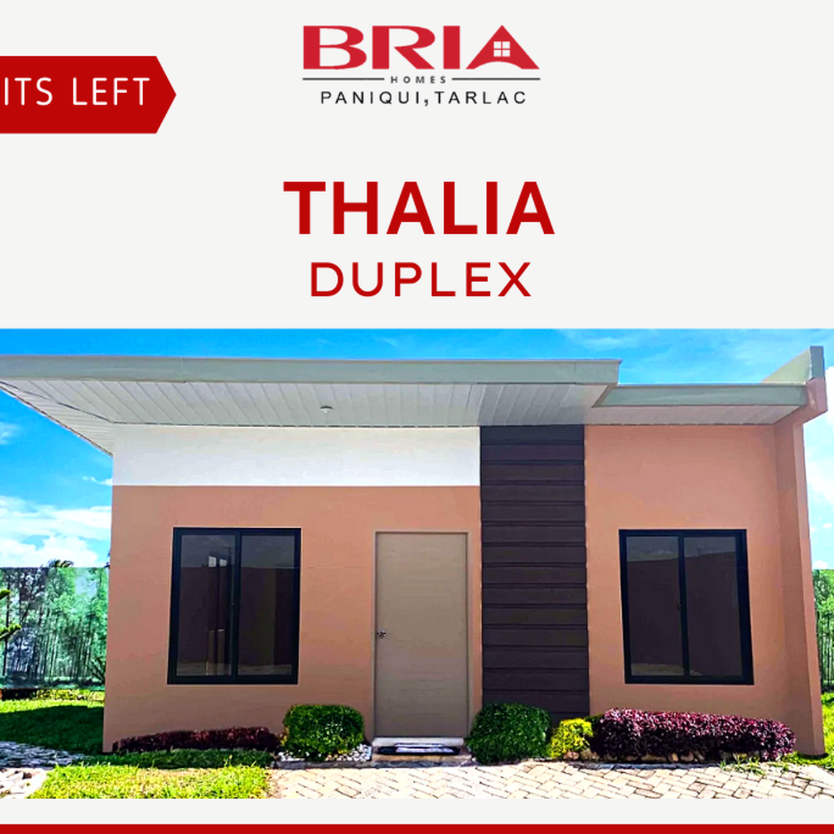 THALIA DUPLEX IN BRIA HOMES [House and Lot 🏘️] (February 2022) in