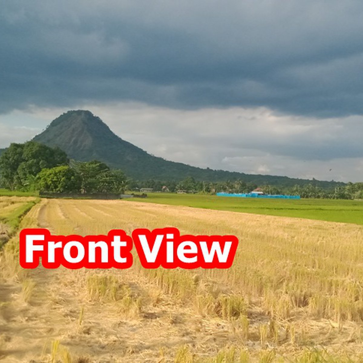 7,178 sqm Agricultural Farm For Sale in Dinalupihan Bataan [Lot 🚜