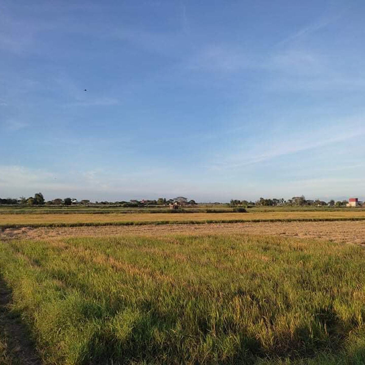 RUSH 25564 sqm Lot For Sale in Candaba Pampanga [Lot 🚜] (August 2024